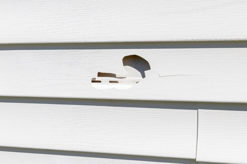 Siding and Exterior Repairs