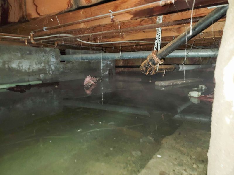 Inspection of Water Damage