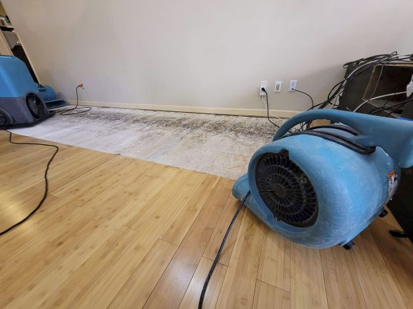Cost of Water Damage Mitigation in Grove City